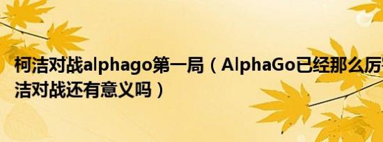 柯洁对战alphago第一局（AlphaGo已经那么厉害了它和柯洁对战还有意义吗）