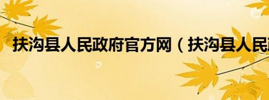 扶沟县人民政府官方网（扶沟县人民政府）