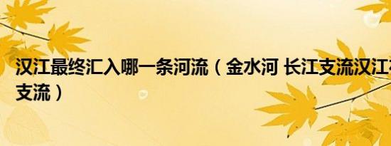 汉江最终汇入哪一条河流（金水河 长江支流汉江在陕西省的支流）