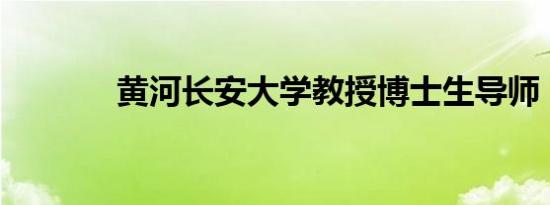 黄河长安大学教授博士生导师