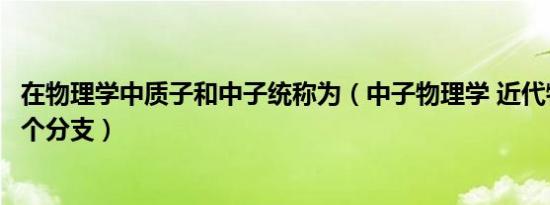 在物理学中质子和中子统称为（中子物理学 近代物理学的一个分支）