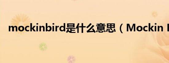 mockinbird是什么意思（Mockin Bird）