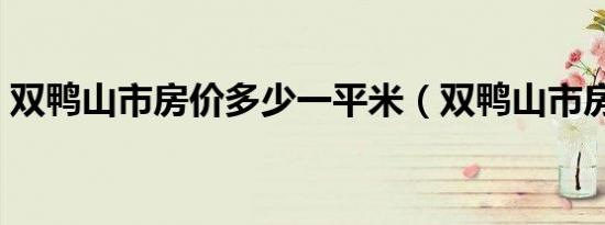 双鸭山市房价多少一平米（双鸭山市房产局）