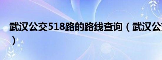 武汉公交518路的路线查询（武汉公交518路）