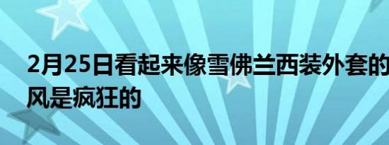 2月25日看起来像雪佛兰西装外套的GMC台风是疯狂的