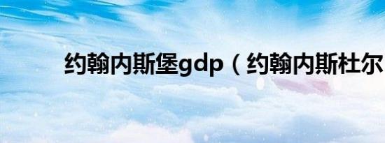 约翰内斯堡gdp（约翰内斯杜尔）