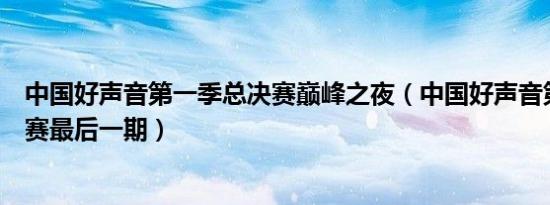 中国好声音第一季总决赛巅峰之夜（中国好声音第一季总决赛最后一期）