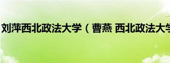 刘萍西北政法大学（曹燕 西北政法大学教授）