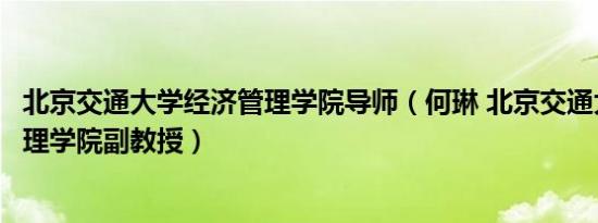 北京交通大学经济管理学院导师（何琳 北京交通大学经济管理学院副教授）