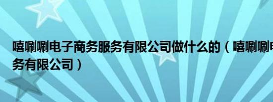 嘻唰唰电子商务服务有限公司做什么的（嘻唰唰电子商务服务有限公司）