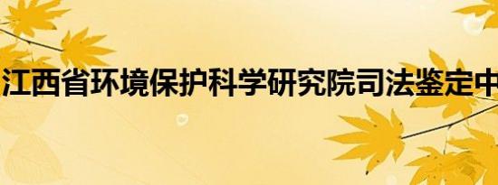 江西省环境保护科学研究院司法鉴定中心主任