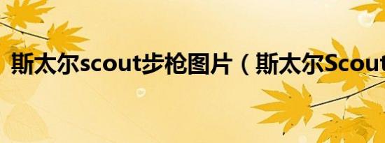 斯太尔scout步枪图片（斯太尔Scout步枪）