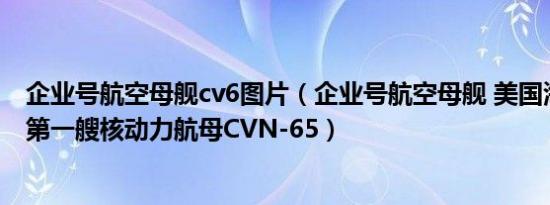 企业号航空母舰cv6图片（企业号航空母舰 美国海军及世界第一艘核动力航母CVN-65）