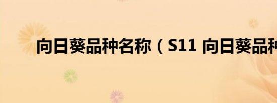 向日葵品种名称（S11 向日葵品种）