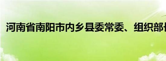 河南省南阳市内乡县委常委、组织部长王宇