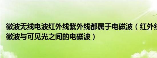 微波无线电波红外线紫外线都属于电磁波（红外线 频率介于微波与可见光之间的电磁波）