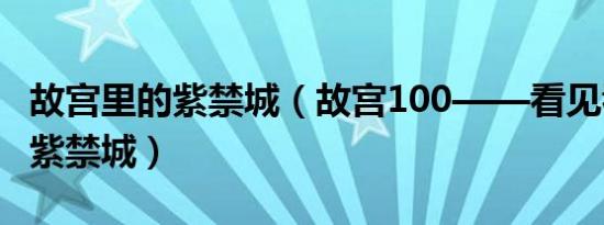 故宫里的紫禁城（故宫100——看见看不见的紫禁城）