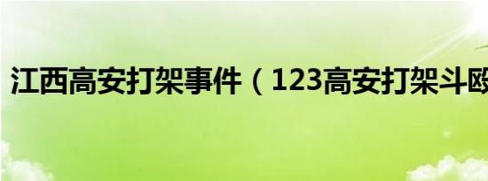 江西高安打架事件（123高安打架斗殴事件）