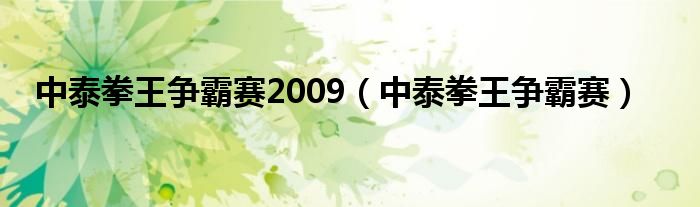 中泰拳王争霸赛2009（中泰拳王争霸赛）