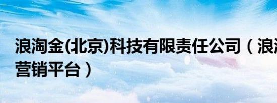 浪淘金(北京)科技有限责任公司（浪淘金精准营销平台）