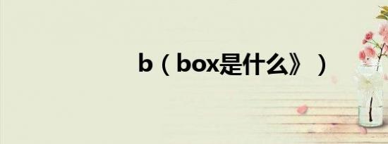 b（box是什么》）