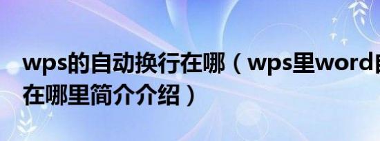 wps的自动换行在哪（wps里word自动换行在哪里简介介绍）