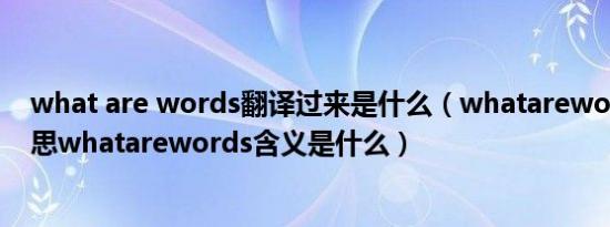 what are words翻译过来是什么（whatarewords什么意思whatarewords含义是什么）