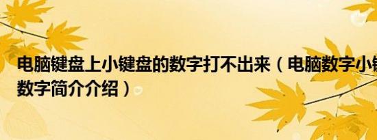 电脑键盘上小键盘的数字打不出来（电脑数字小键盘打不出数字简介介绍）