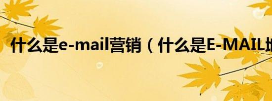 什么是e-mail营销（什么是E-MAIL地址?）