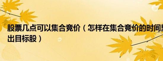 股票几点可以集合竞价（怎样在集合竞价的时间里快速的选出目标股）