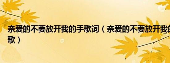 亲爱的不要放开我的手歌词（亲爱的不要放开我的手是什么歌）