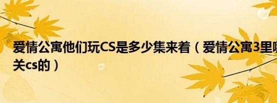 爱情公寓他们玩CS是多少集来着（爱情公寓3里哪一集是有关cs的）