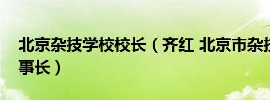 北京杂技学校校长（齐红 北京市杂技学校理事长）