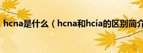 hcna是什么（hcna和hcia的区别简介介绍）