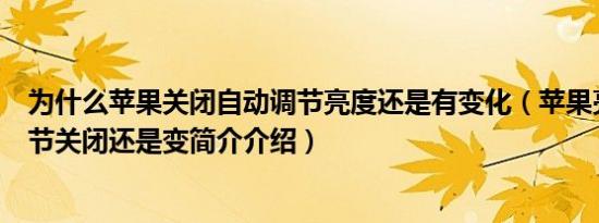 为什么苹果关闭自动调节亮度还是有变化（苹果亮度自动调节关闭还是变简介介绍）