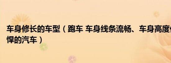 车身修长的车型（跑车 车身线条流畅、车身高度低、性能强悍的汽车）