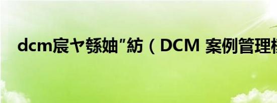 dcm宸ヤ綔妯″紡（DCM 案例管理模式）