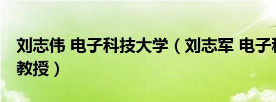 刘志伟 电子科技大学（刘志军 电子科技大学教授）