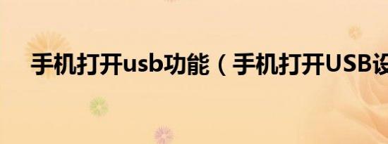 手机打开usb功能（手机打开USB设备）