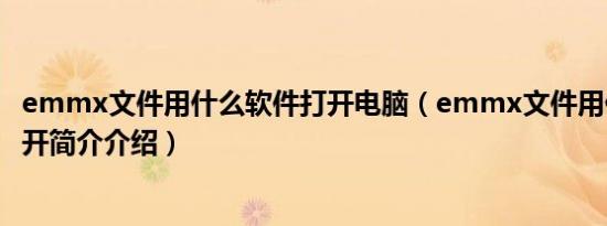 emmx文件用什么软件打开电脑（emmx文件用什么软件打开简介介绍）