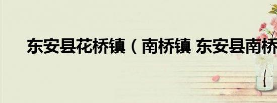 东安县花桥镇（南桥镇 东安县南桥镇）