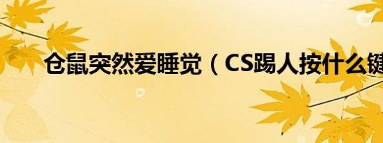 仓鼠突然爱睡觉（CS踢人按什么键?）