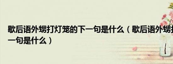 歇后语外甥打灯笼的下一句是什么（歇后语外甥打灯笼的下一句是什么）