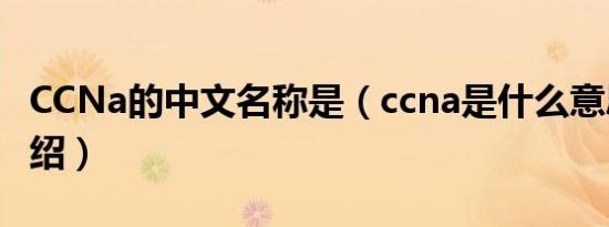 CCNa的中文名称是（ccna是什么意思简介介绍）