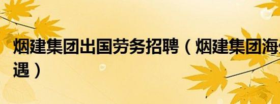 烟建集团出国劳务招聘（烟建集团海外公司待遇）