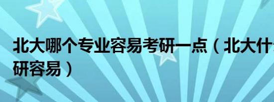 北大哪个专业容易考研一点（北大什么专业考研容易）