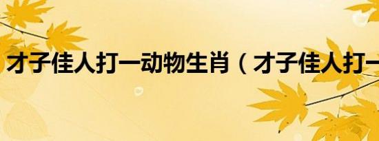 才子佳人打一动物生肖（才子佳人打一动物）