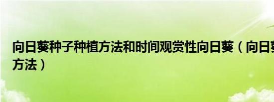 向日葵种子种植方法和时间观赏性向日葵（向日葵种子种植方法）