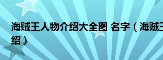 海贼王人物介绍大全图 名字（海贼王人物介绍）