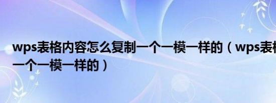 wps表格内容怎么复制一个一模一样的（wps表格怎么复制一个一模一样的）